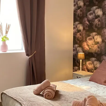 Maison Charmante Aux Riceys Avec Cour Exterieure Holiday home *
